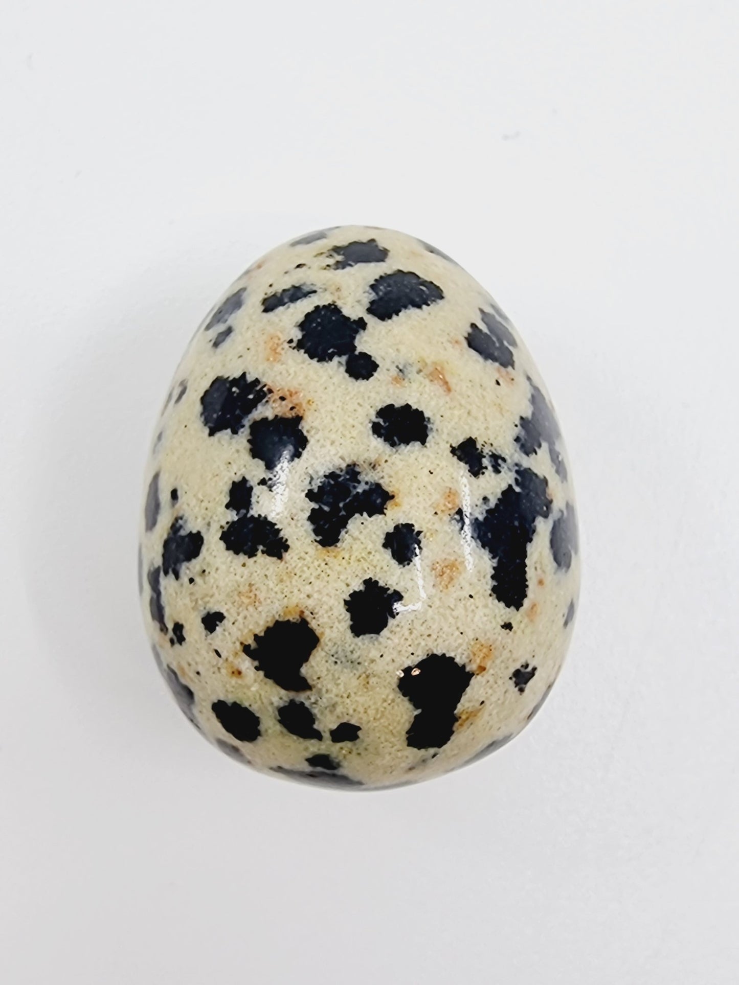 Oeuf en pierre naturelle - Jaspe dalmatien