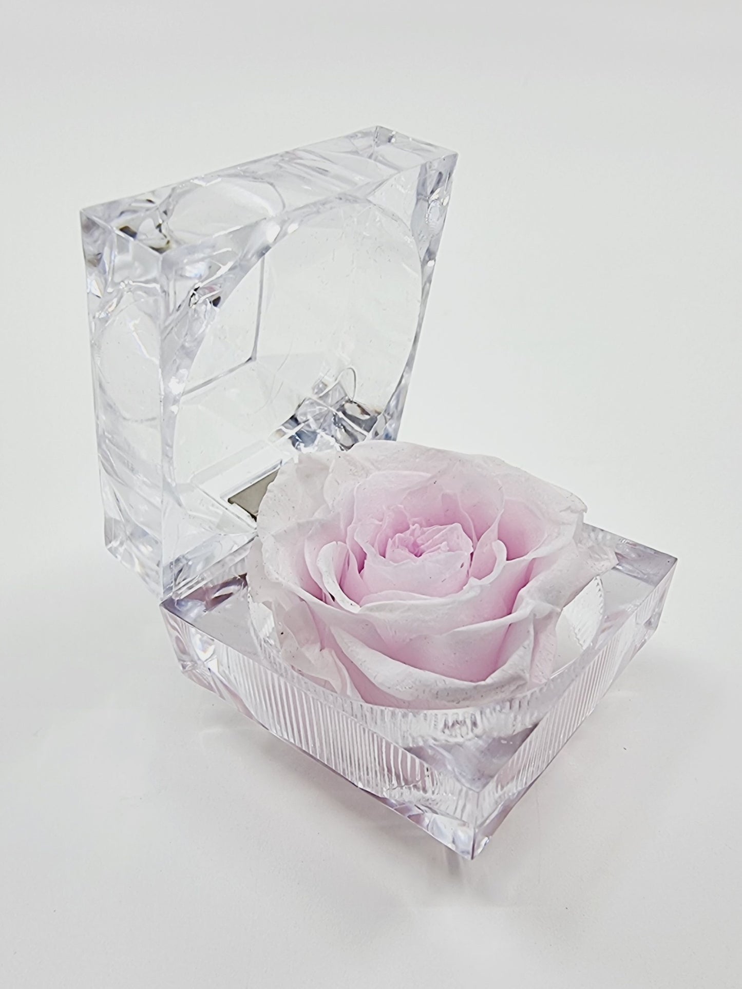 Rose éternelle dans son écrin - rose pâle