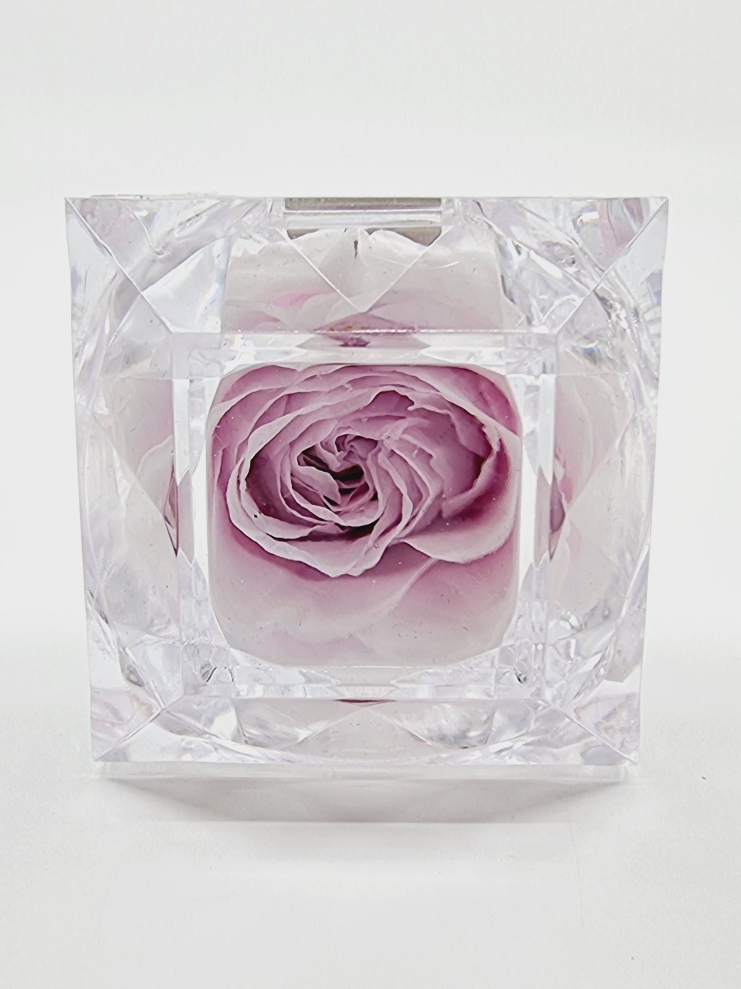 Rose éternelle dans son écrin - rose pâle
