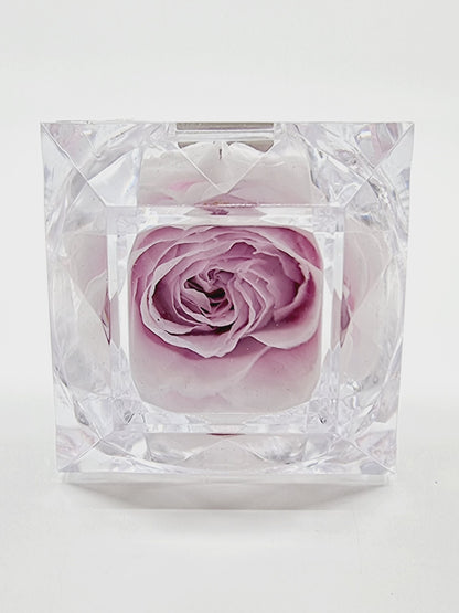 Rose éternelle dans son écrin - rose pâle
