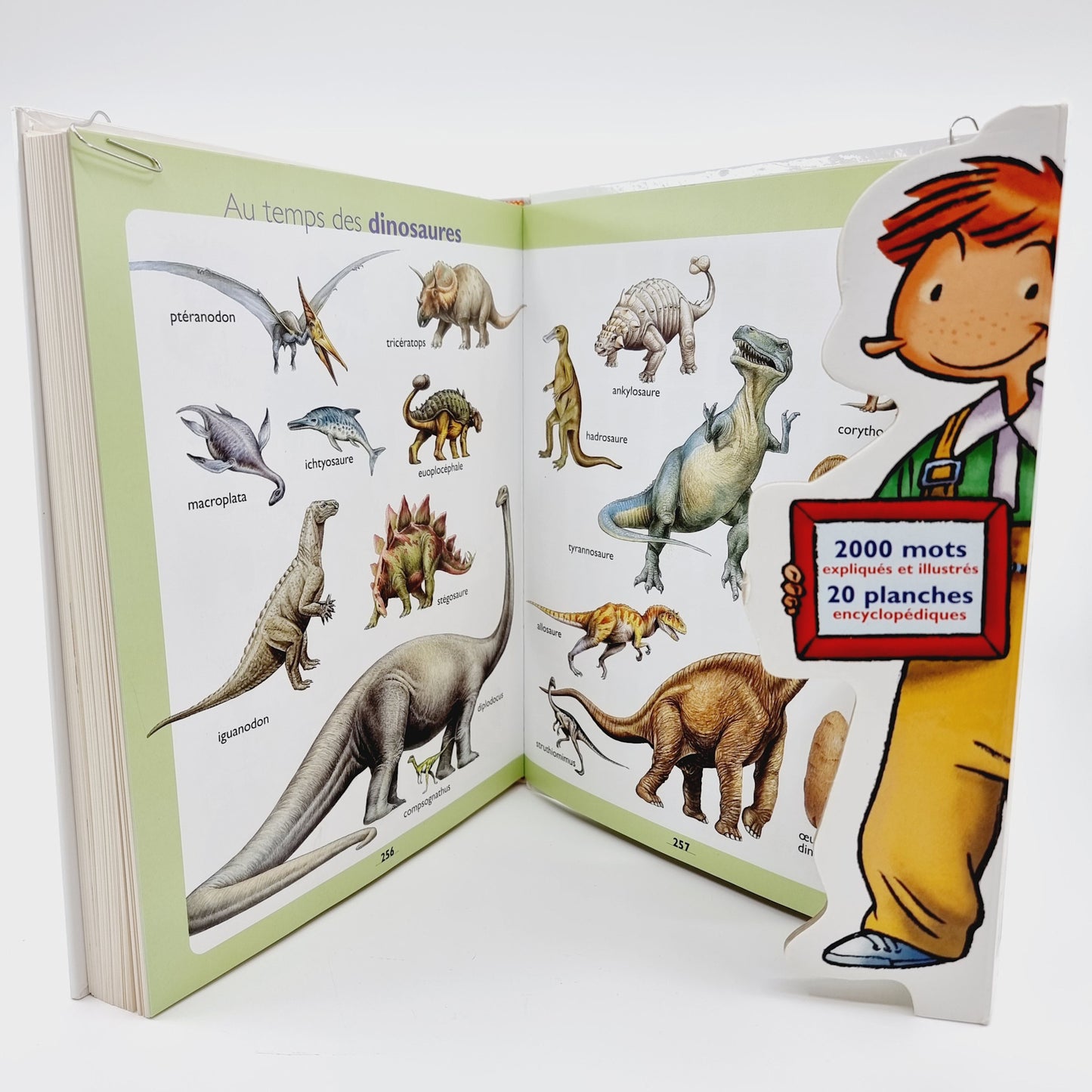 Mon Premier Larousse - Le dictionnaire des 4-7 ans