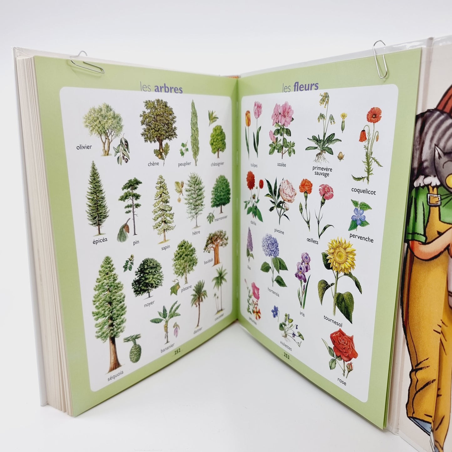 Mon Premier Larousse - Le dictionnaire des 4-7 ans