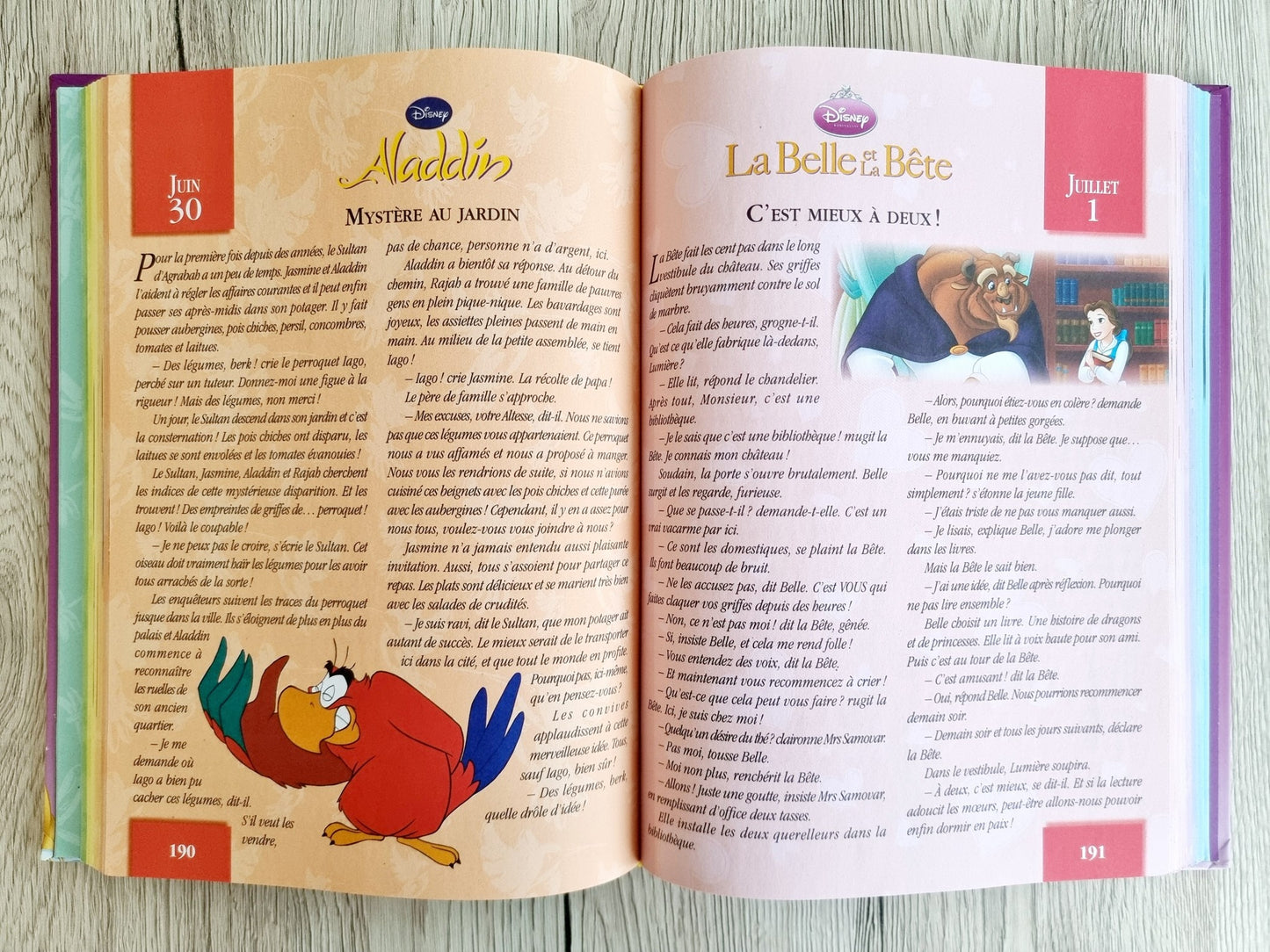 Livre - 365 Histoires pour le soir - Princesses et fées