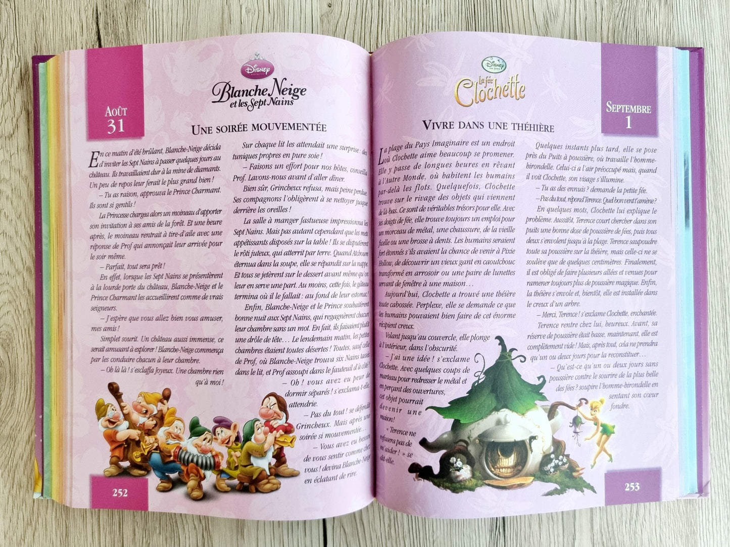 Livre - 365 Histoires pour le soir - Princesses et fées