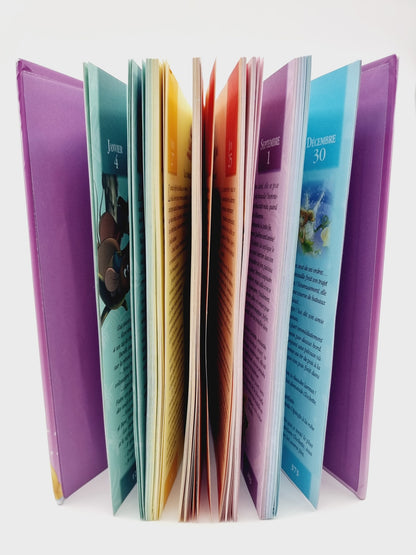 Livre - 365 Histoires pour le soir - Princesses et fées