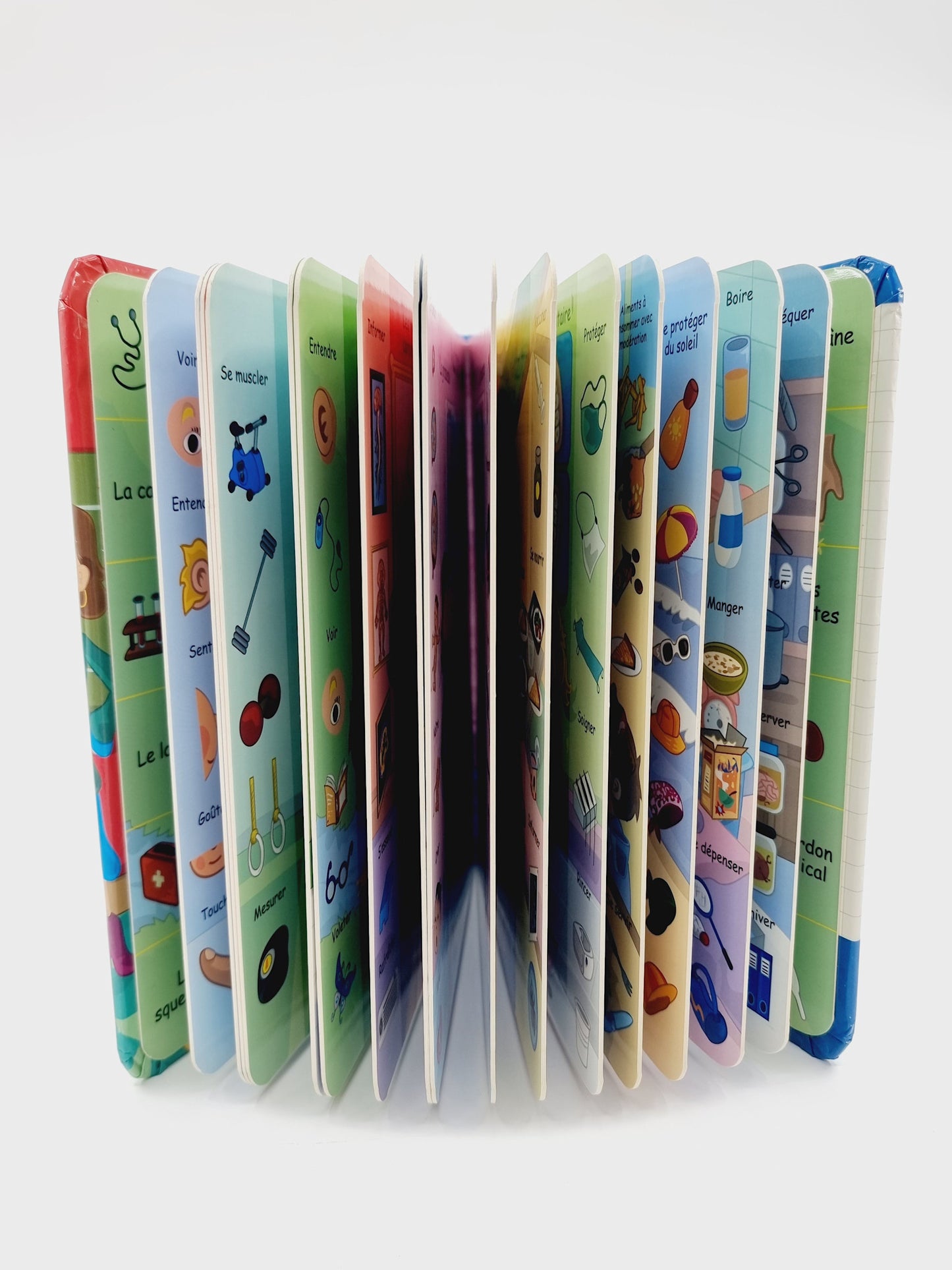 Livre - L'imagier du corps humain