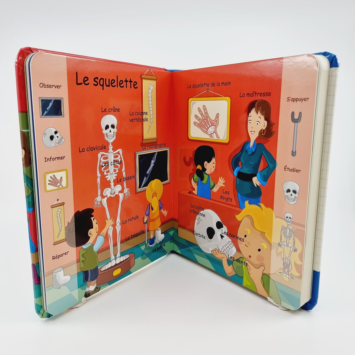 Livre - L'imagier du corps humain