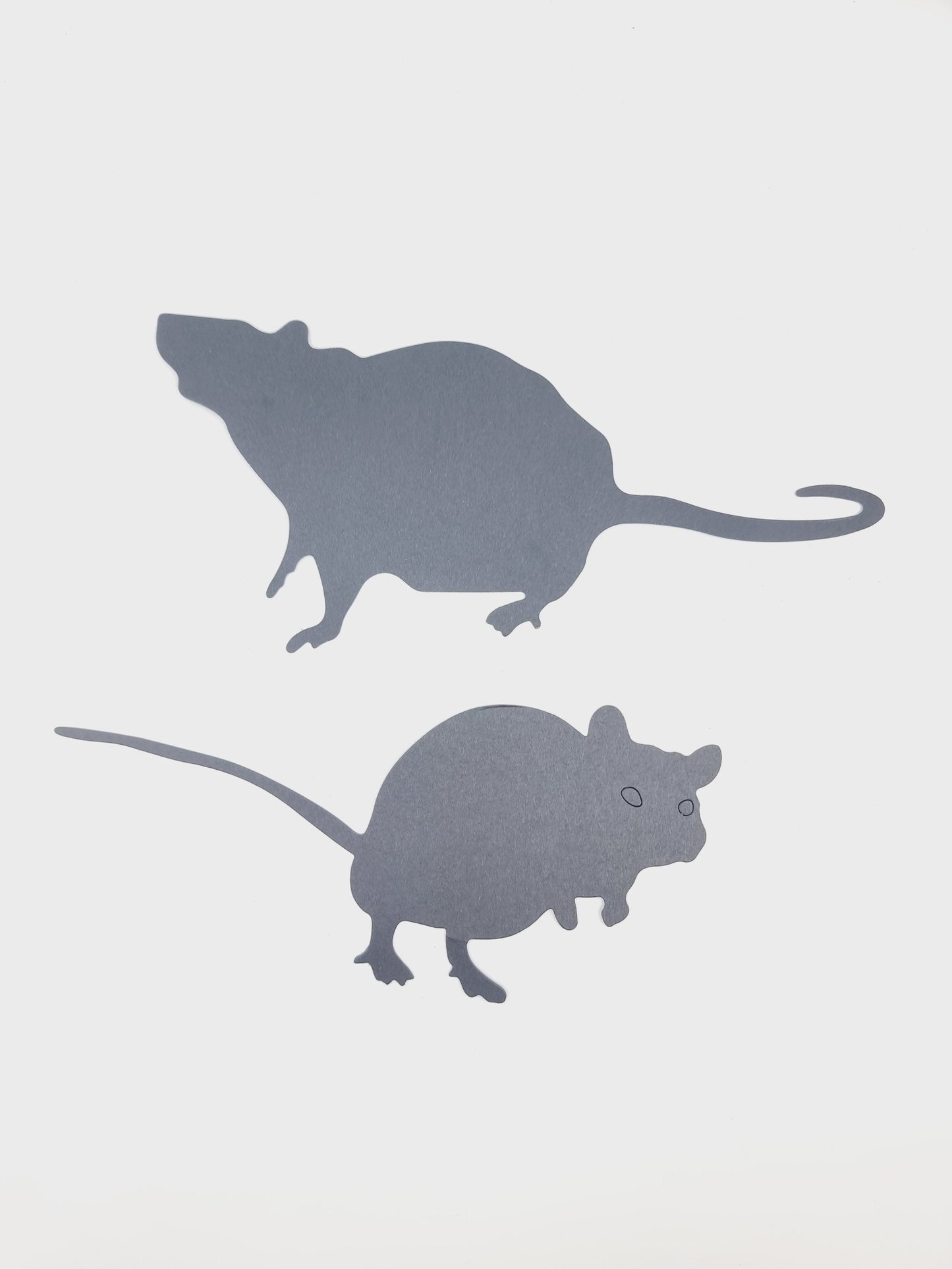 Créatures murales d'Halloween (12 pièces)