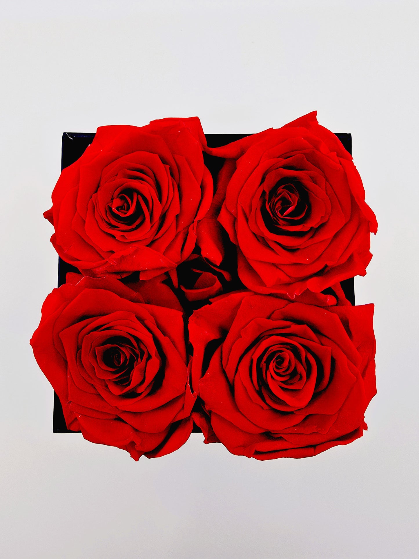 Ecrin de roses éternelles