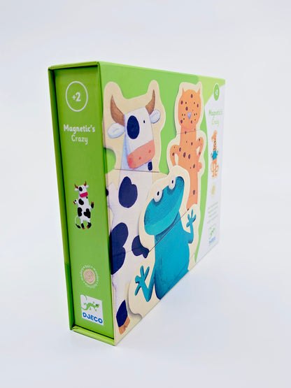 Magnetic’s Crazy - Djeco