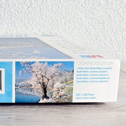 Puzzle Master - L'Arbre Gelé - Rydal Water, Cumbria