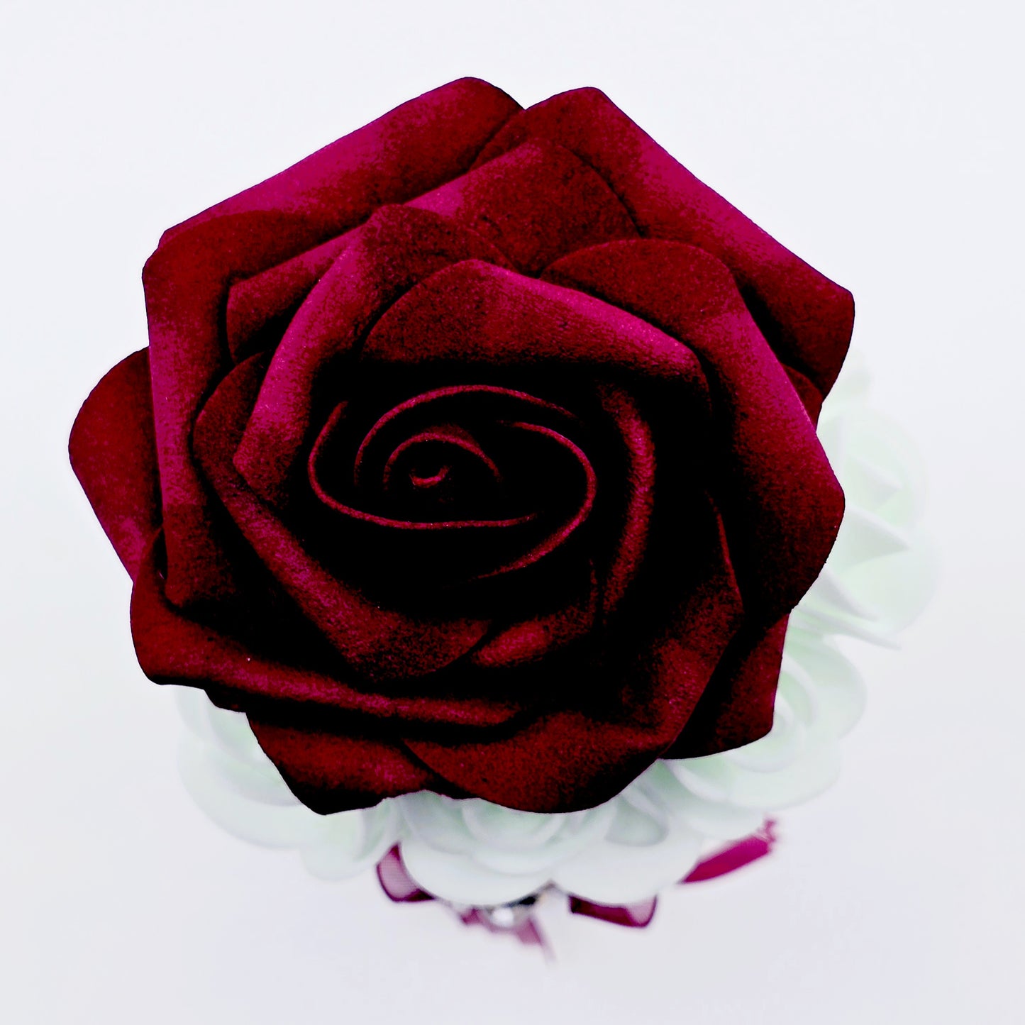 Roses en écrin – Régina