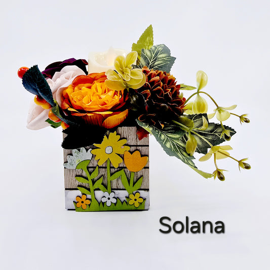 Cagette fleurie – Solana