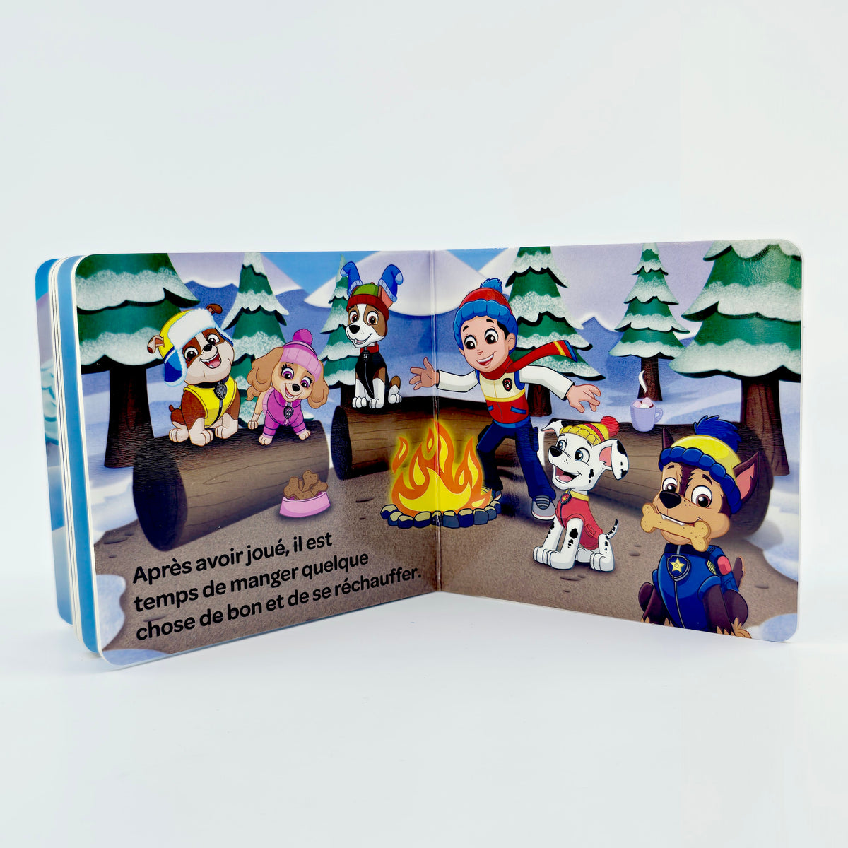 Coffret 4 petits livres Paw Patrol – Frissons de saison
