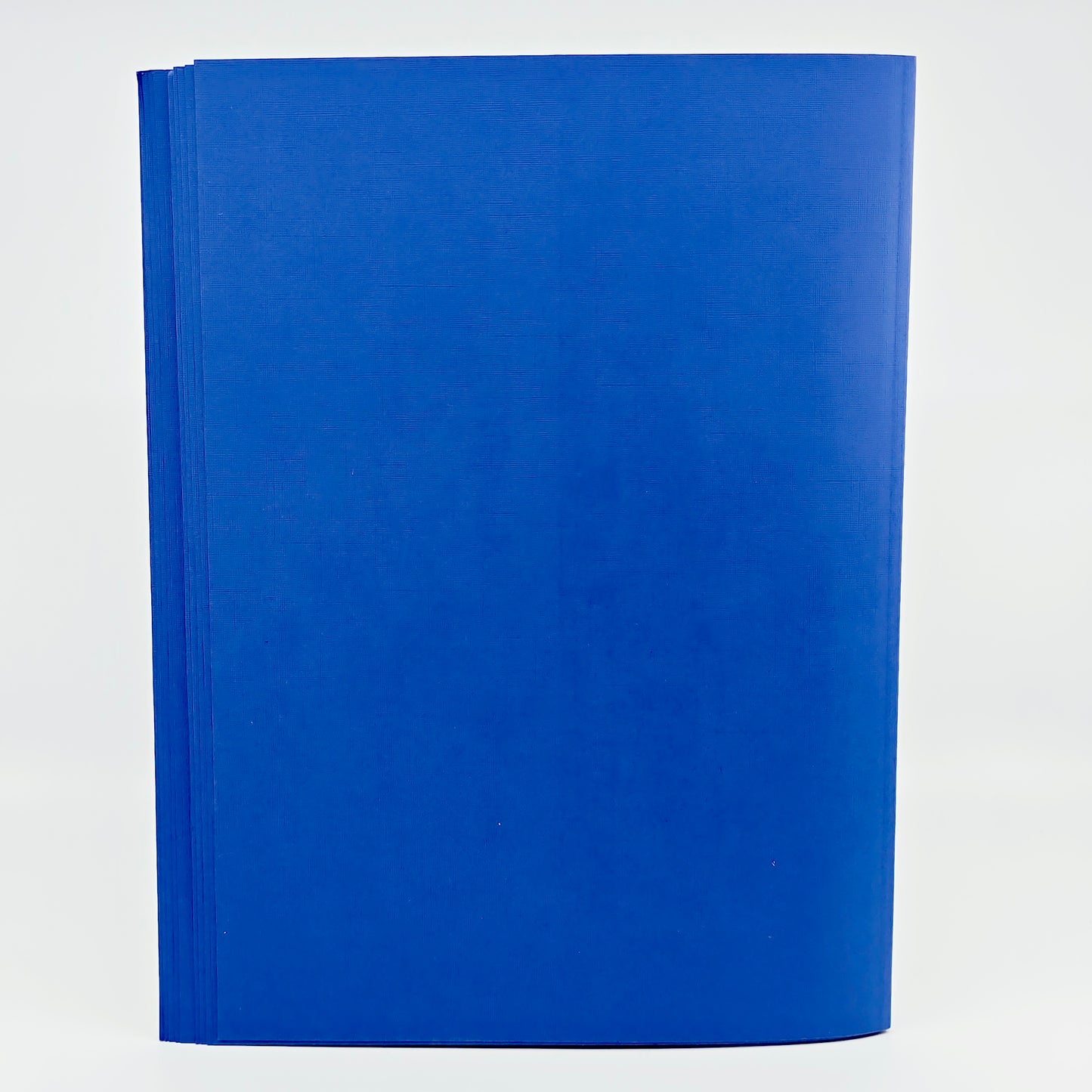 Chemises pour thermoreliure bleues 3 mm (46 pièces)