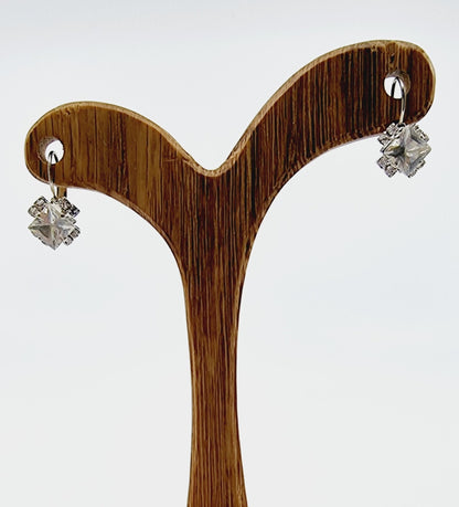 Boucles d'oreilles chic - transparente