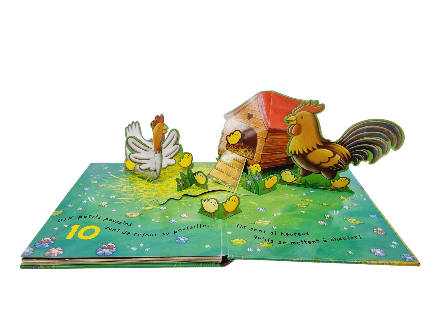 Livre - Dix petits poussins