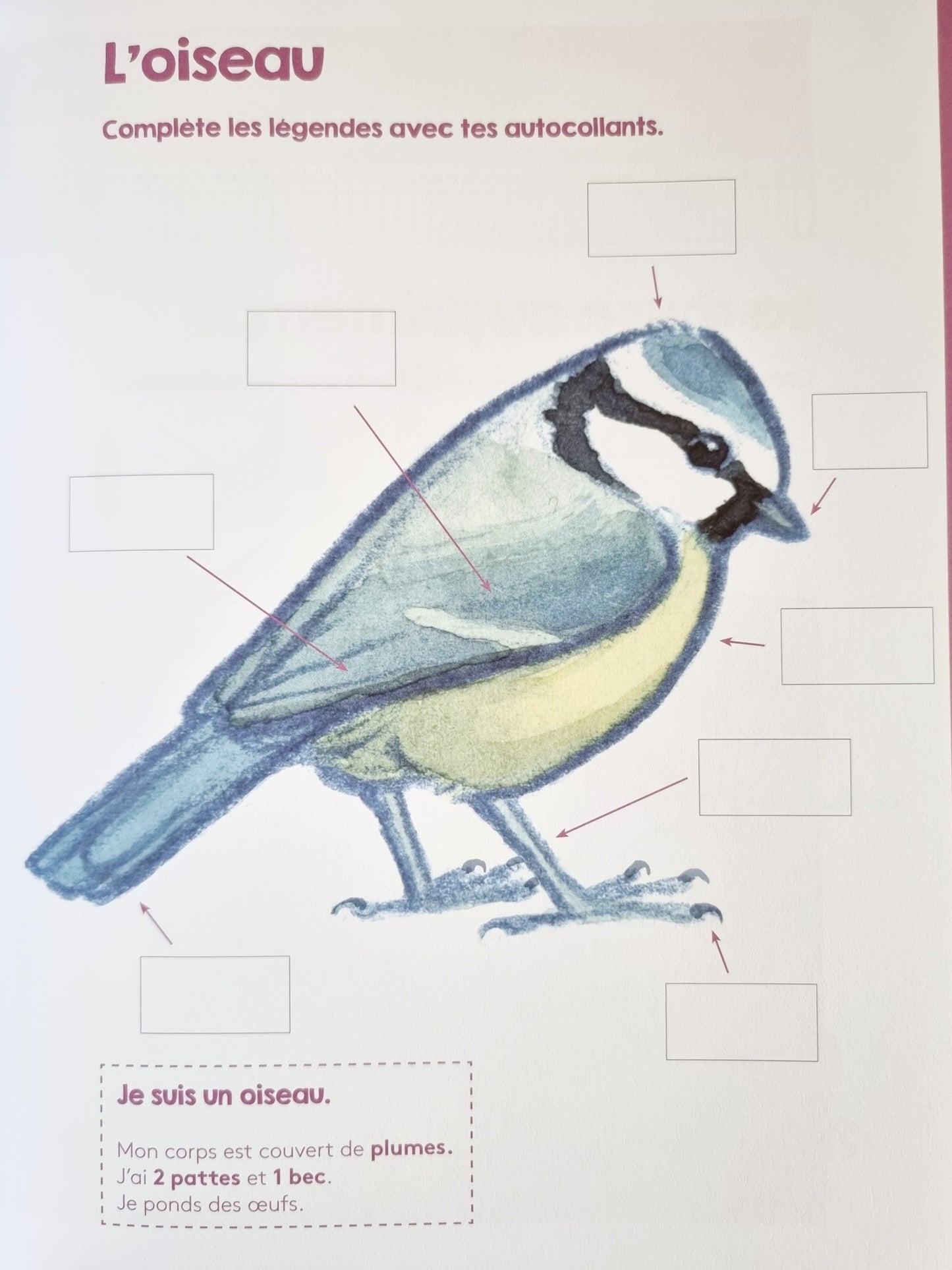 Mon cahier d'activités Montessori