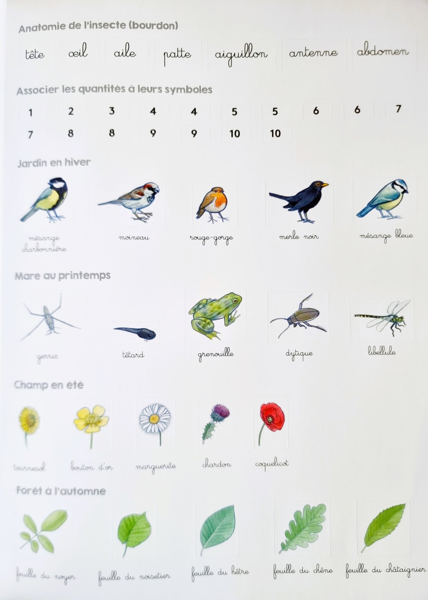 Mon cahier d'activités Montessori