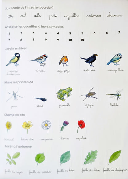 Mon cahier d'activités Montessori