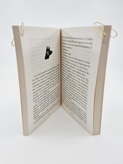 Livre - Pax et le petit soldat