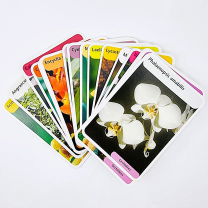 Coffret jardin - Orchidées avec 50 cartes explicatives