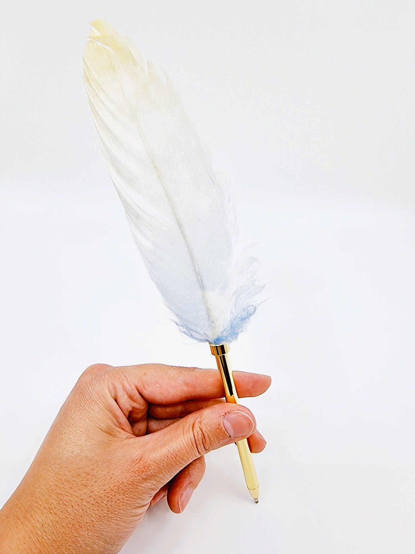 Plume-Stylo - Dreams