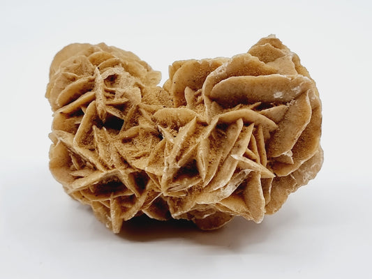 Rose des sables (286 gr)