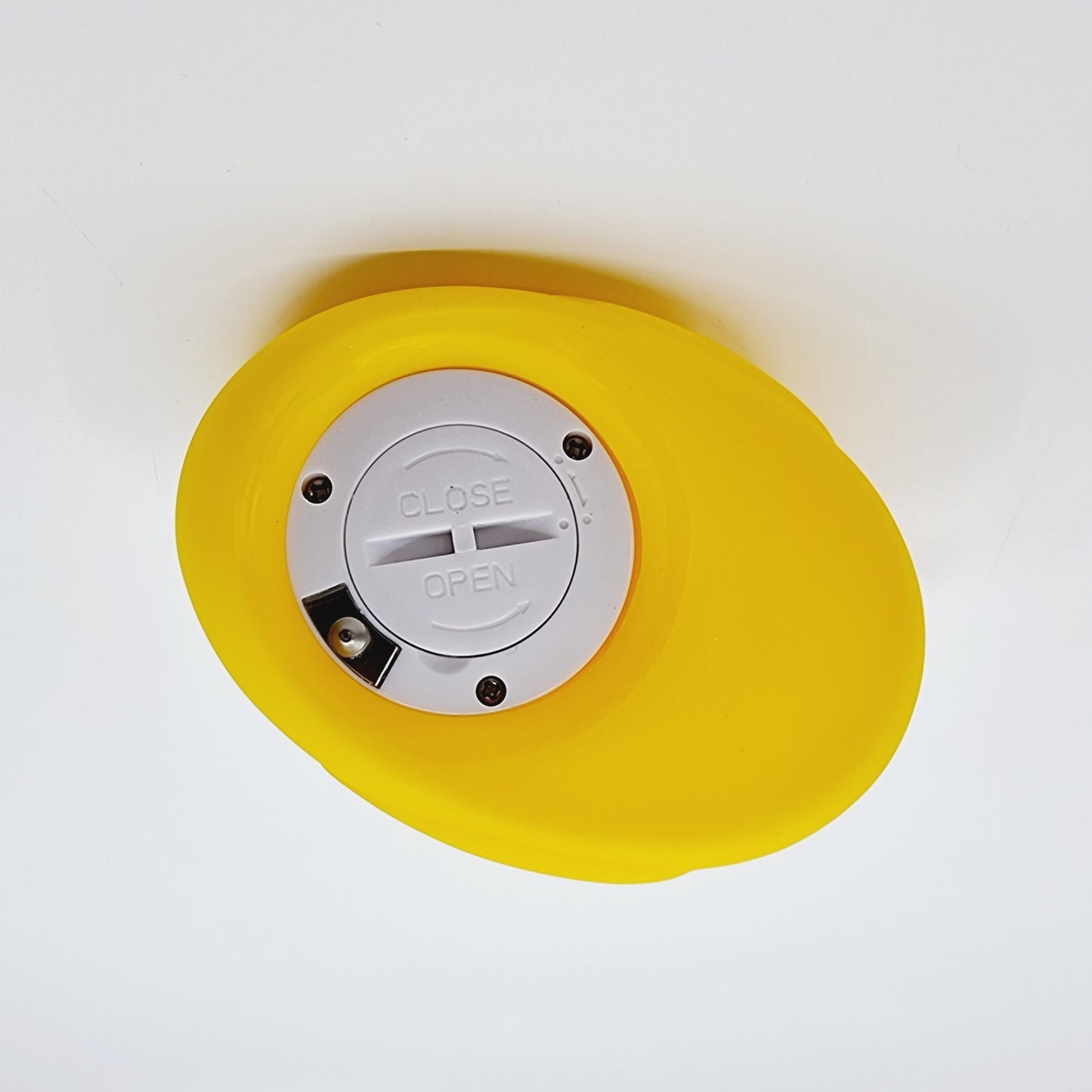 Thermomètre numérique pour le bain et les pièces