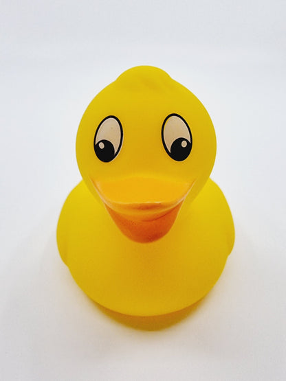 Thermomètre numérique pour le bain et les pièces